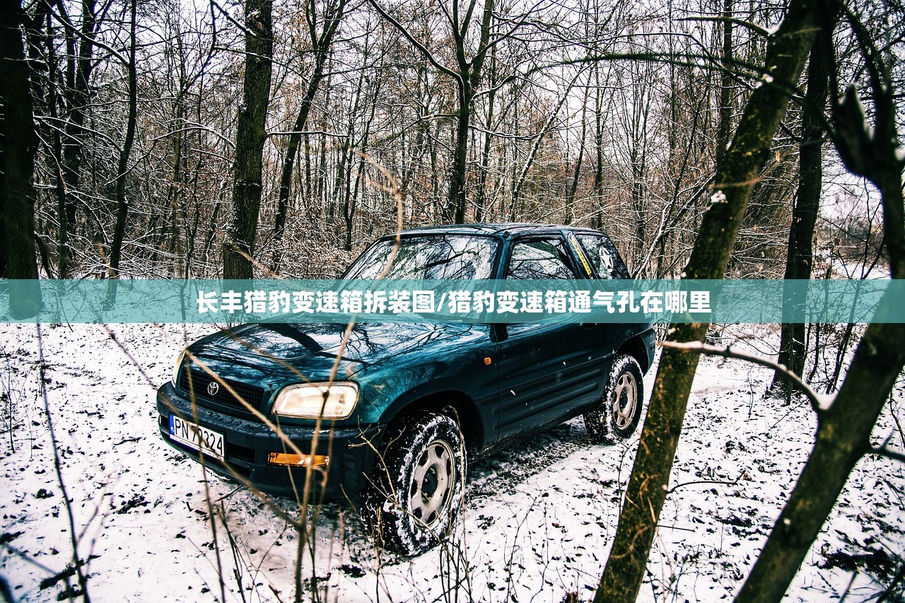 长丰猎豹变速箱拆装图/猎豹变速箱通气孔在哪里