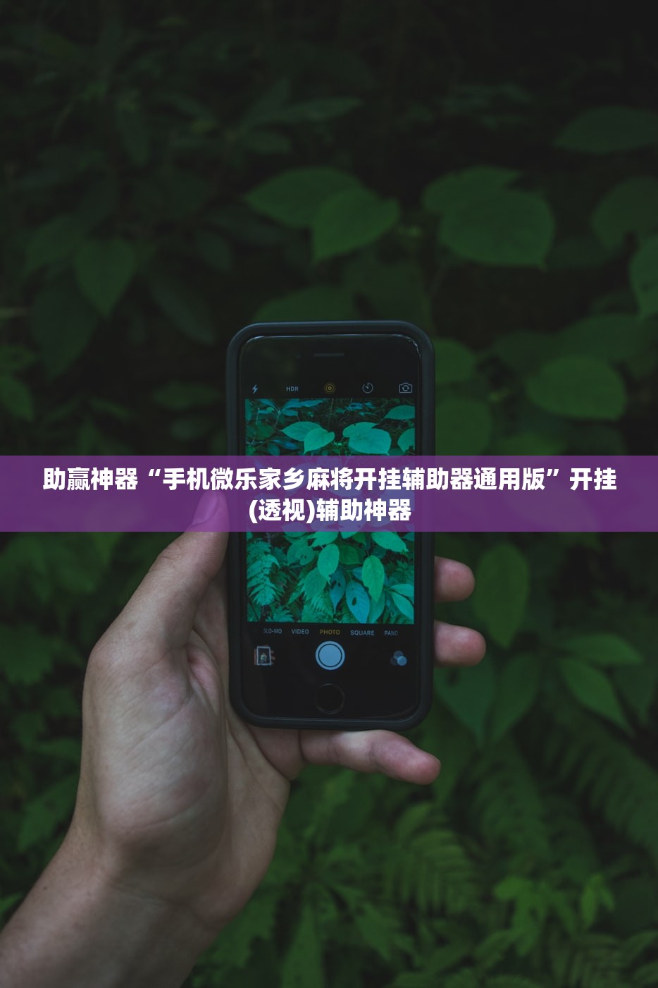助赢神器“手机微乐家乡麻将开挂辅助器通用版”开挂(透视)辅助神器