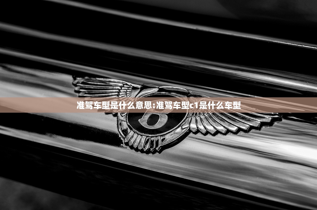 准驾车型是什么意思:准驾车型c1是什么车型