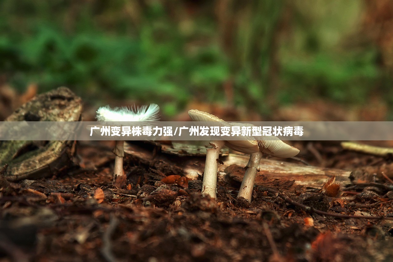 广州变异株毒力强/广州发现变异新型冠状病毒