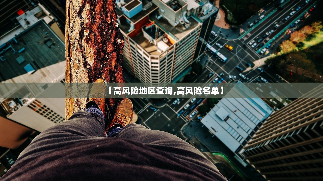 【高风险地区查询,高风险名单】