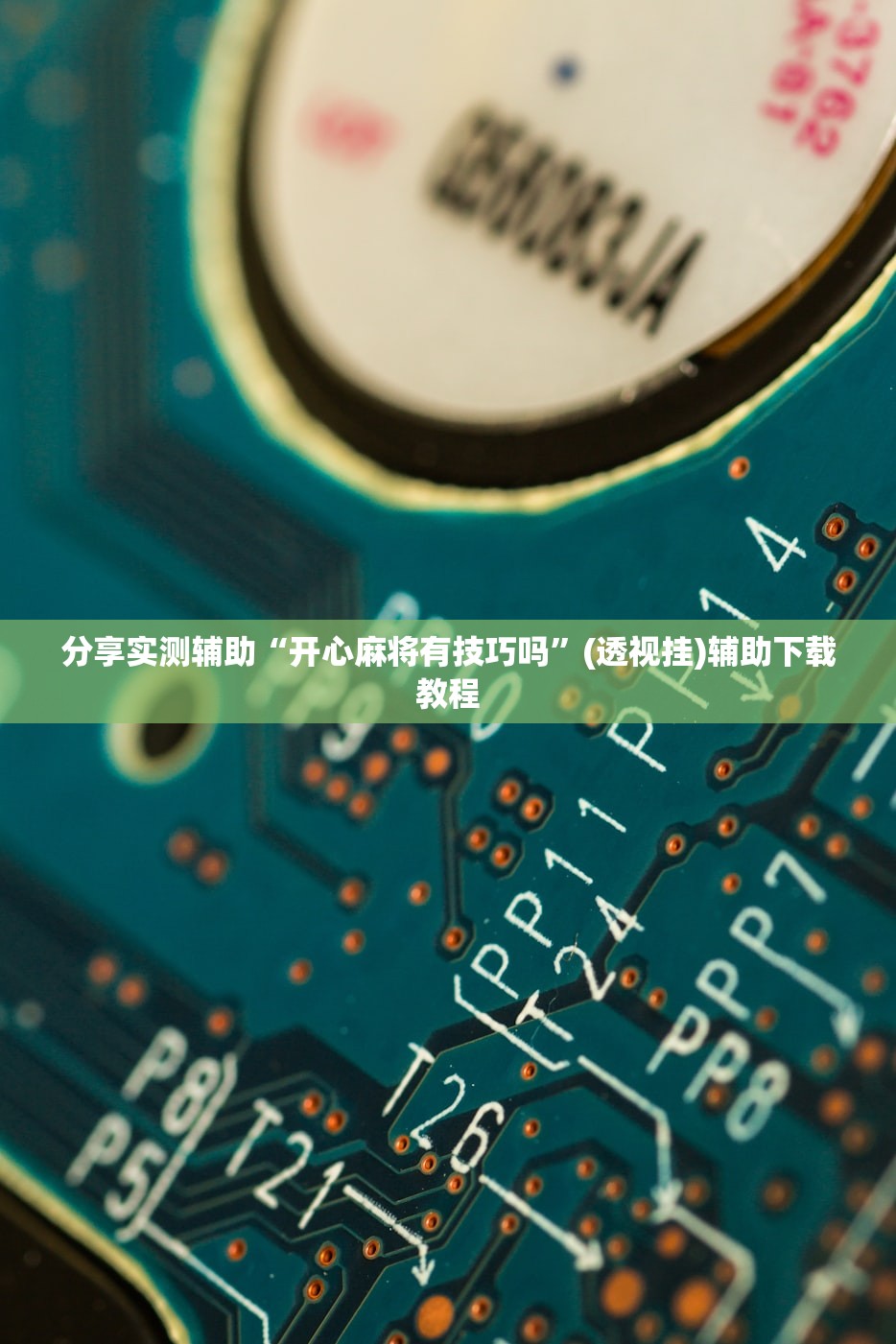 上海取消来返沪人员落地检/上海公布来沪返沪