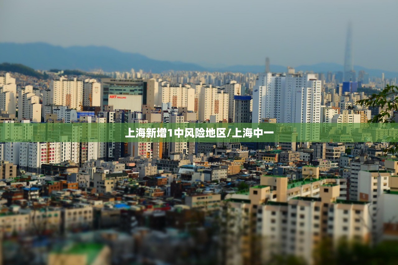 上海新增1中风险地区/上海中一