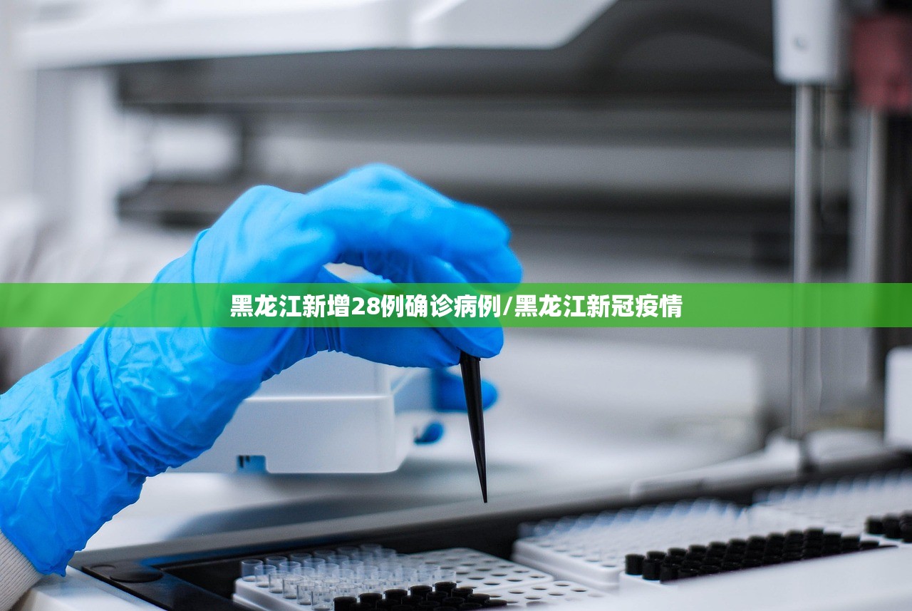 黑龙江新增28例确诊病例/黑龙江新冠疫情
