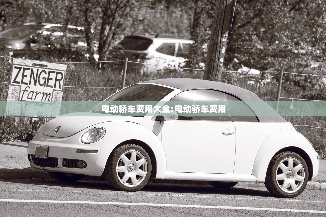电动轿车费用大全:电动骄车费用