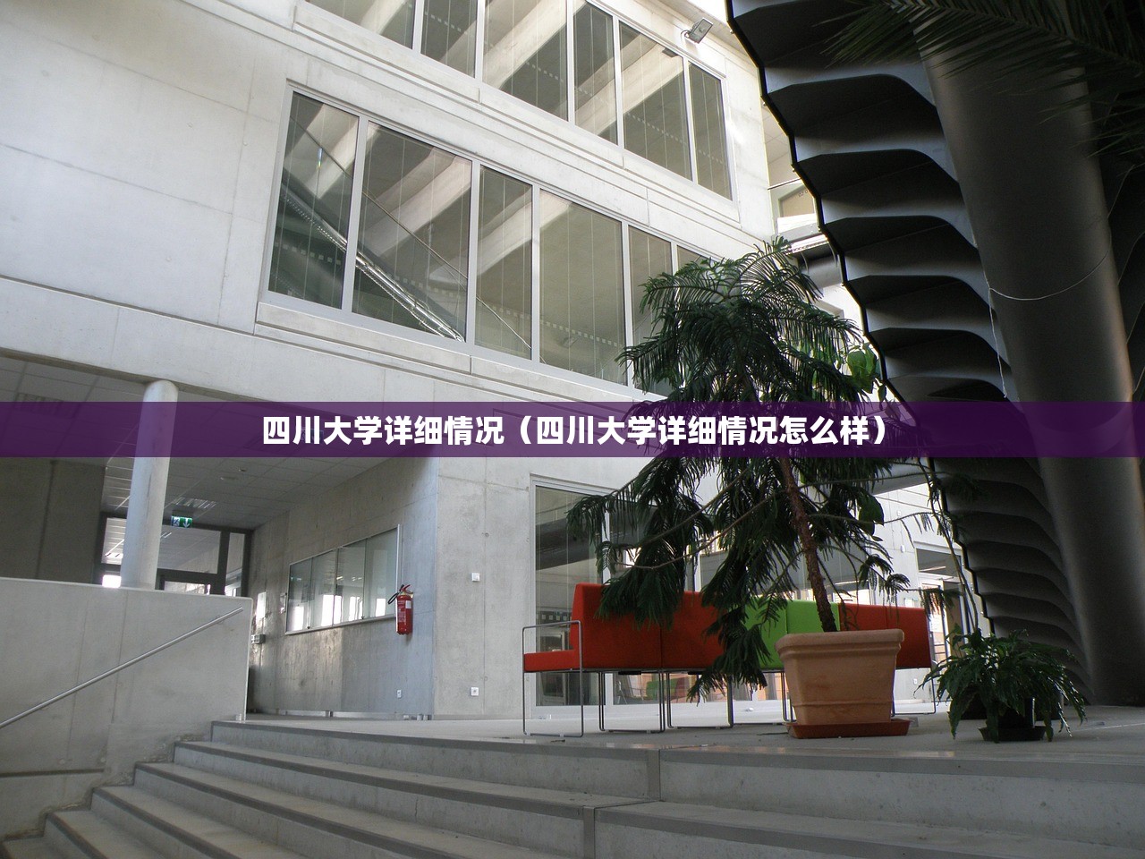四川大学详细情况(四川大学详细情况怎么样) 四川大学详细情况(四川大学详细情况怎么样)