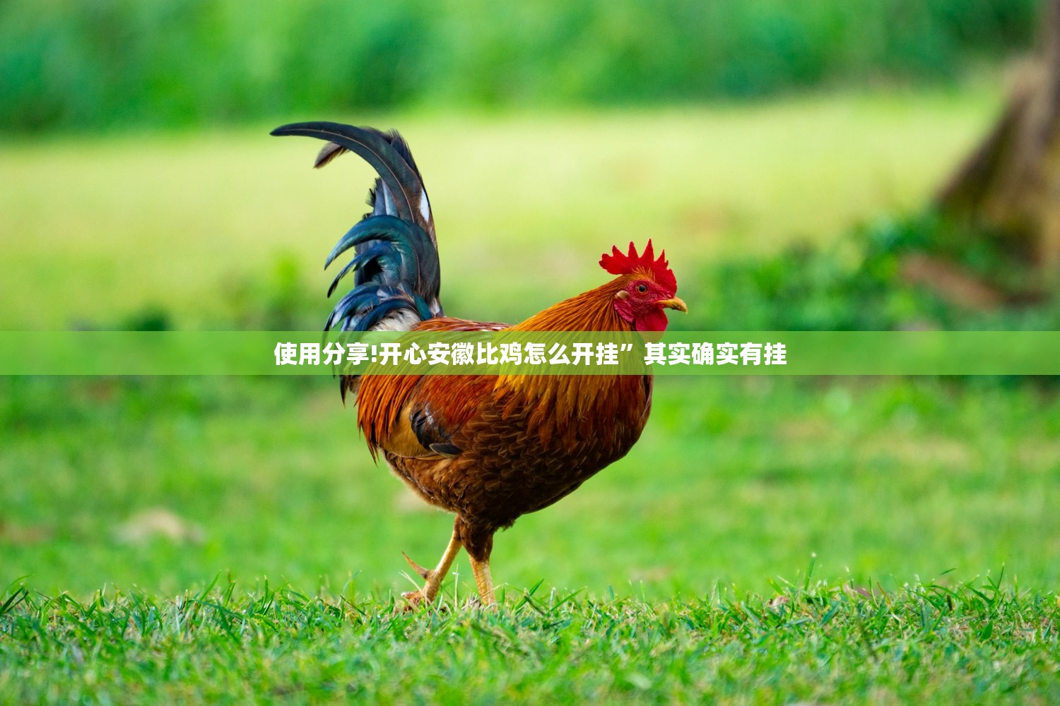 今日教程“全民牛牛到底有没有挂”(辅助神器)开挂详细教程