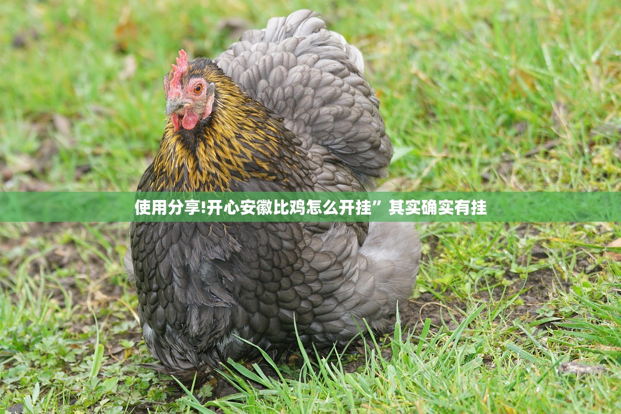 使用分享!开心安徽比鸡怎么开挂”其实确实有挂