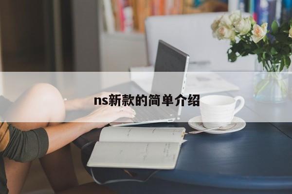 ns新款的简单介绍