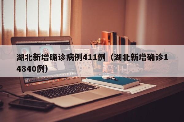 湖北新增确诊病例411例（湖北新增确诊14840例）