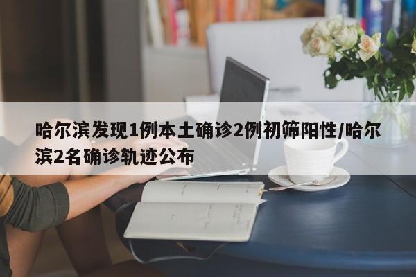 【海南三亚精装修二手房/海南三亚精装房新楼盘】