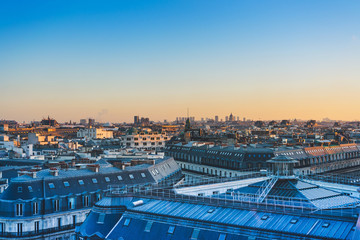 会变色的动物有哪些(十大变色动物)